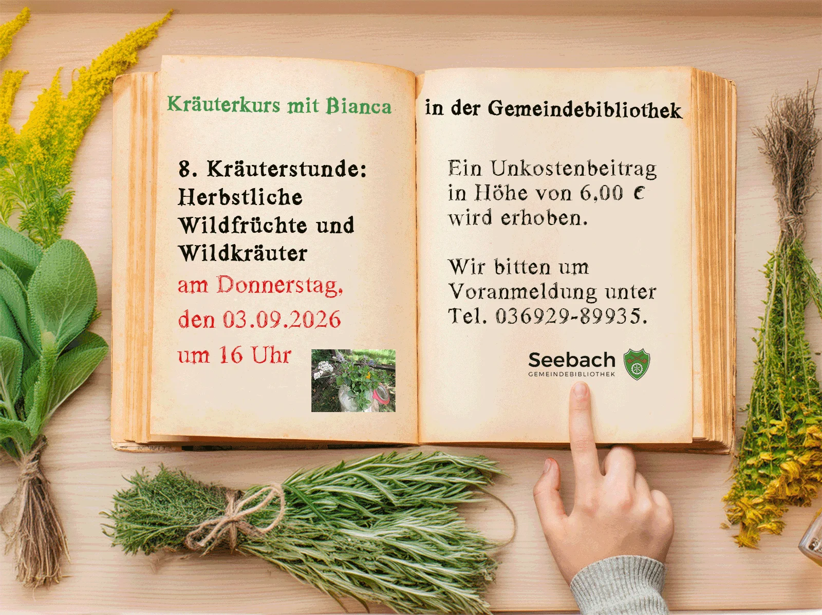 8. Kräuterkurs mit Bianca