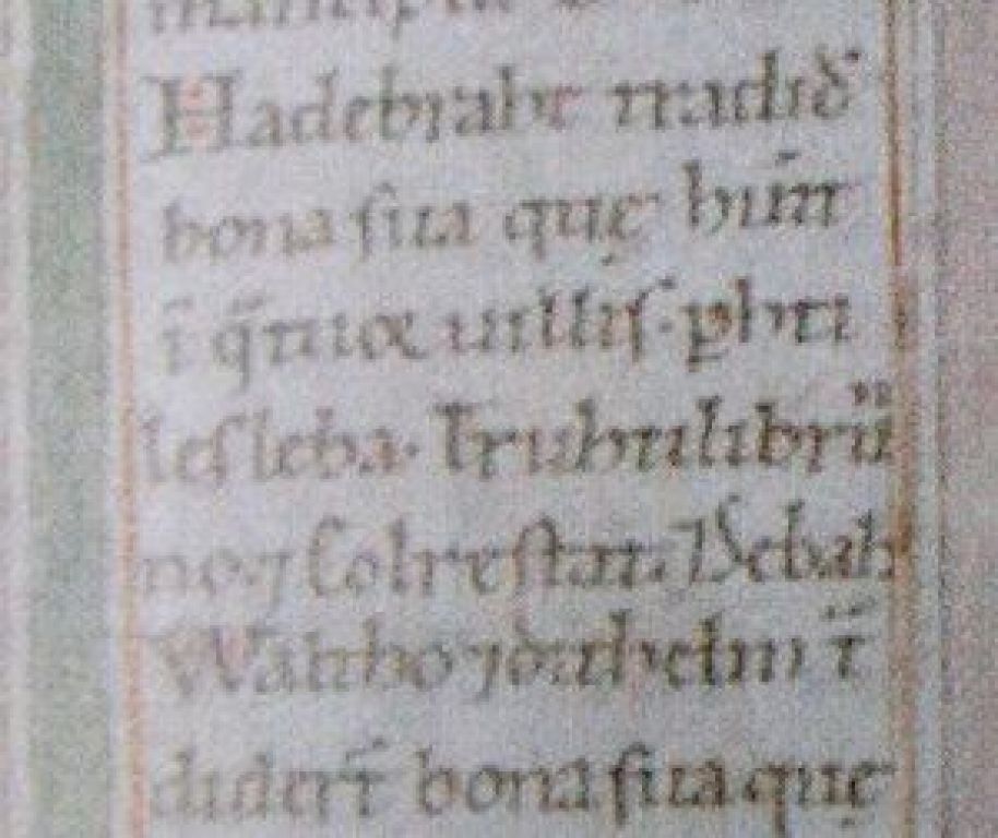 Vergrößerter Ausschnitt der Seebach-Nennung im Codex Eberhardi